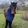 Jazzersandhorses