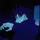𓆦.・ᖇOᖇᖇO・𓆦