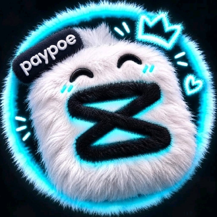 Paypoe 🇺🇸 [LDR]