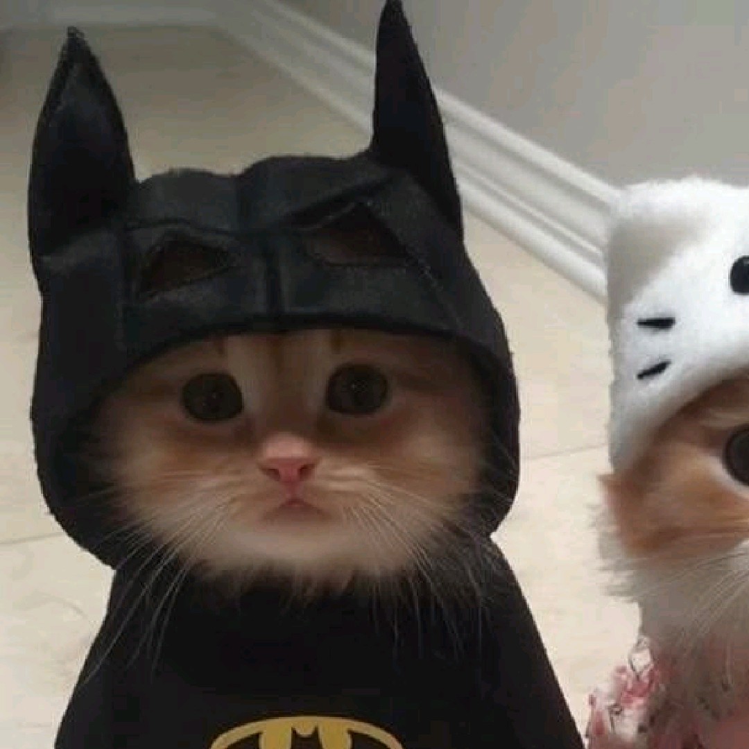 𝚔𝚣🦇