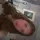 justimyyy(check bio)
