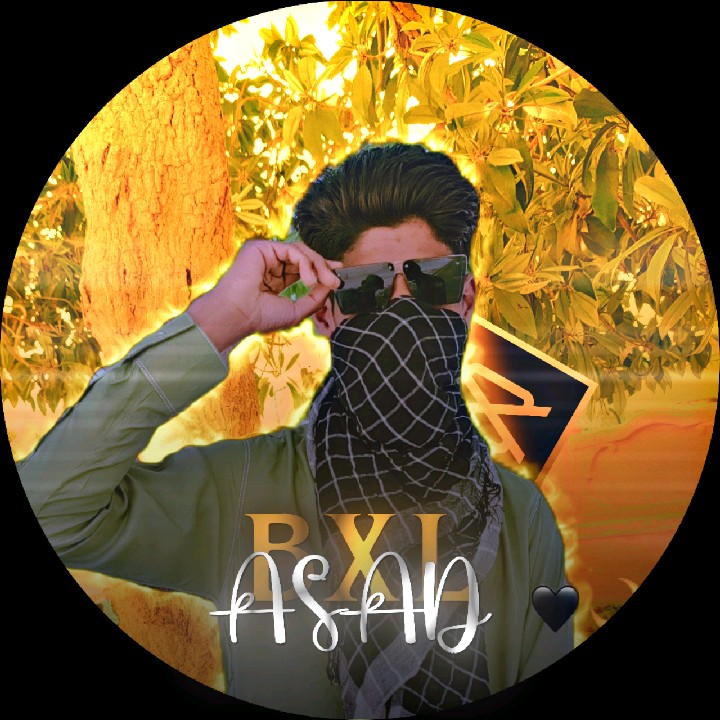 BxL_ASAD