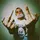 $lim K!tty