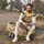 Samikhan