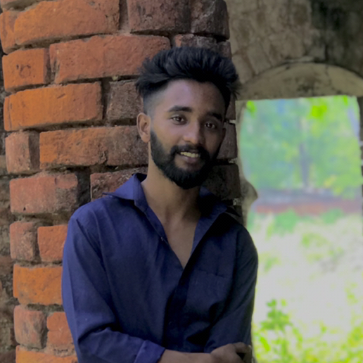 Niloy Ahmed 