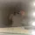 its.lauren