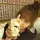 Bannyama.🐶ྀི‎❤︎