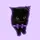cat editz ‼️✨