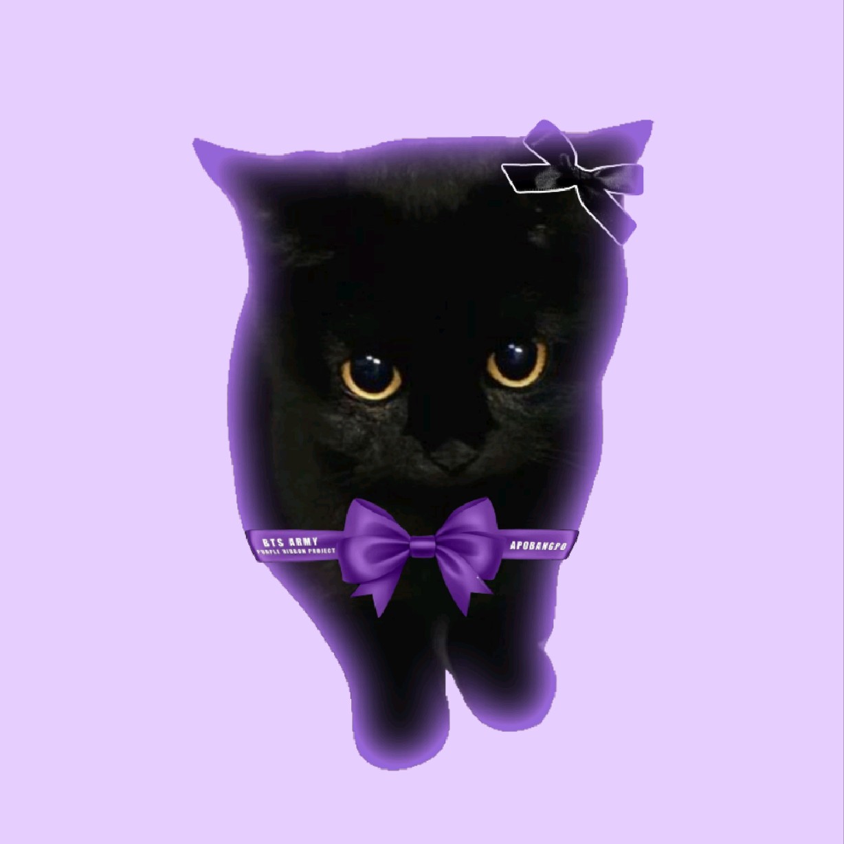 cat editz ‼️✨