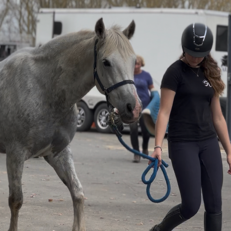 Pippa.eq 𐂃❀