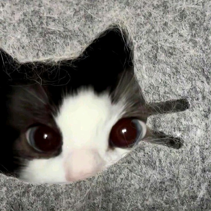 𝒏𝒂𝒏𝒂𝒂𝒆𝒍𝒛—˚࿔ 