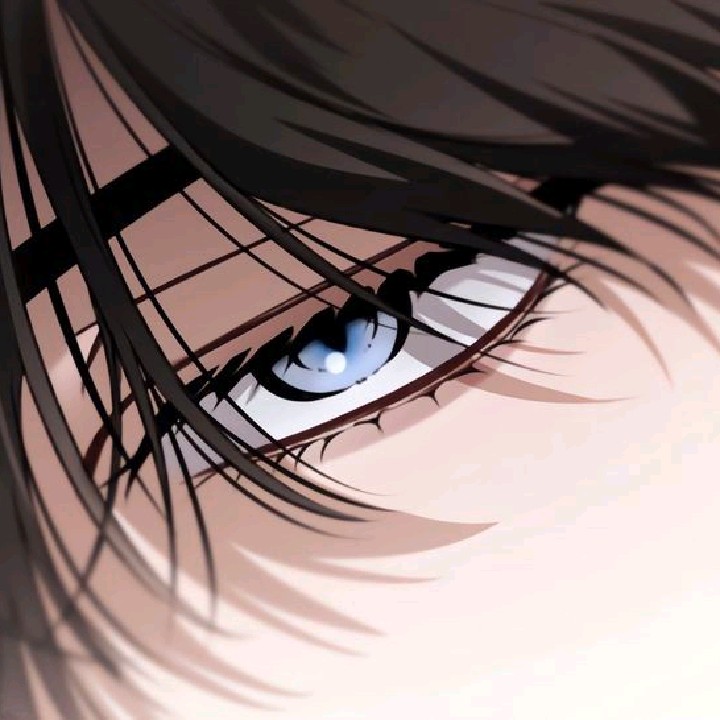 Aluka
