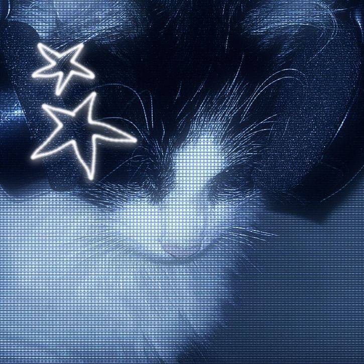 ⋆｡🦢˚୨𝑳𝒆𝒏𝒏✶𝒏୧˚🫐｡⋆