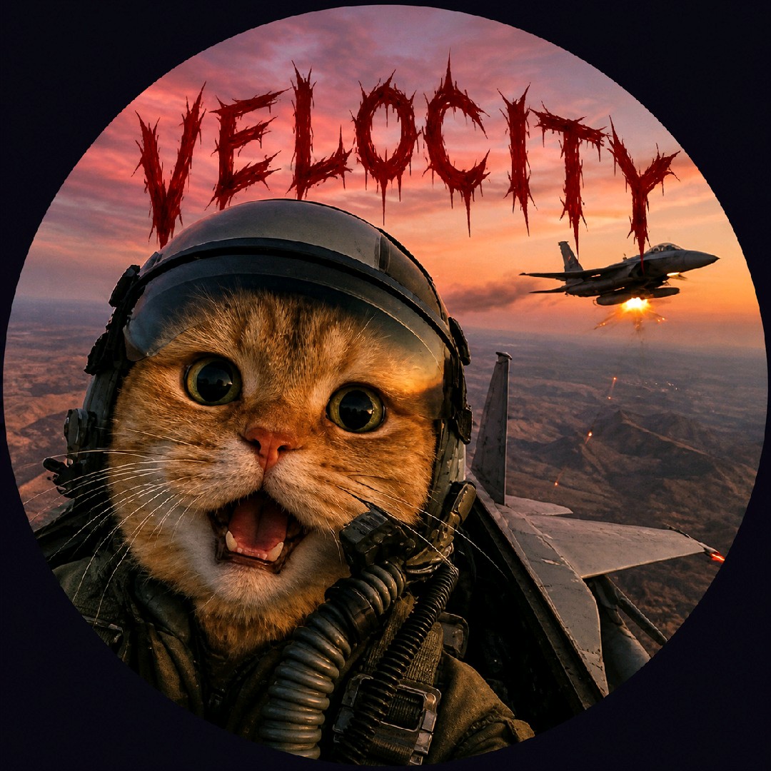 VELOCITY