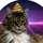 家猫さん