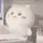 최예빈