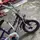 satria19