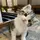 JBoy_532