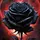 Darkrose