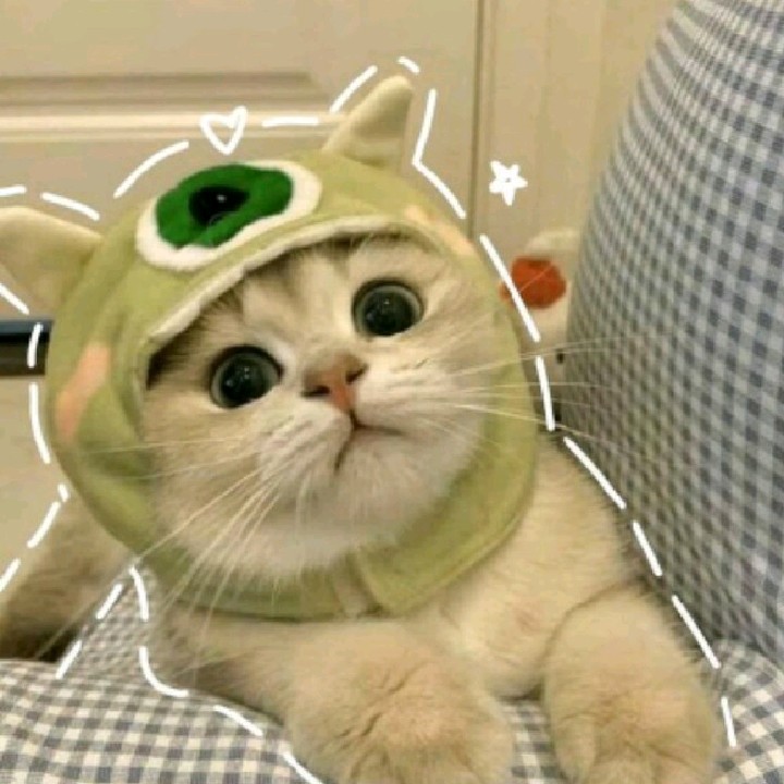 dwiy[LDR]