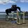 Aaliyah_Showjumping