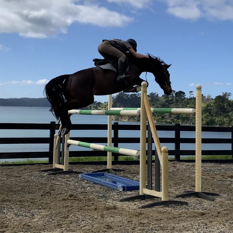Aaliyah_Showjumping