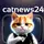 CatNews24 