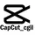 Capcut_cgil