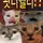 ㅎㄹ