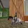 𝐯_𝐥𝐨𝐯𝐞𝐫𓆉