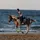 💗🐎Anna_Eq🐎💗