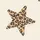moose_71cc