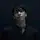 SQUID GAME✌️❤️