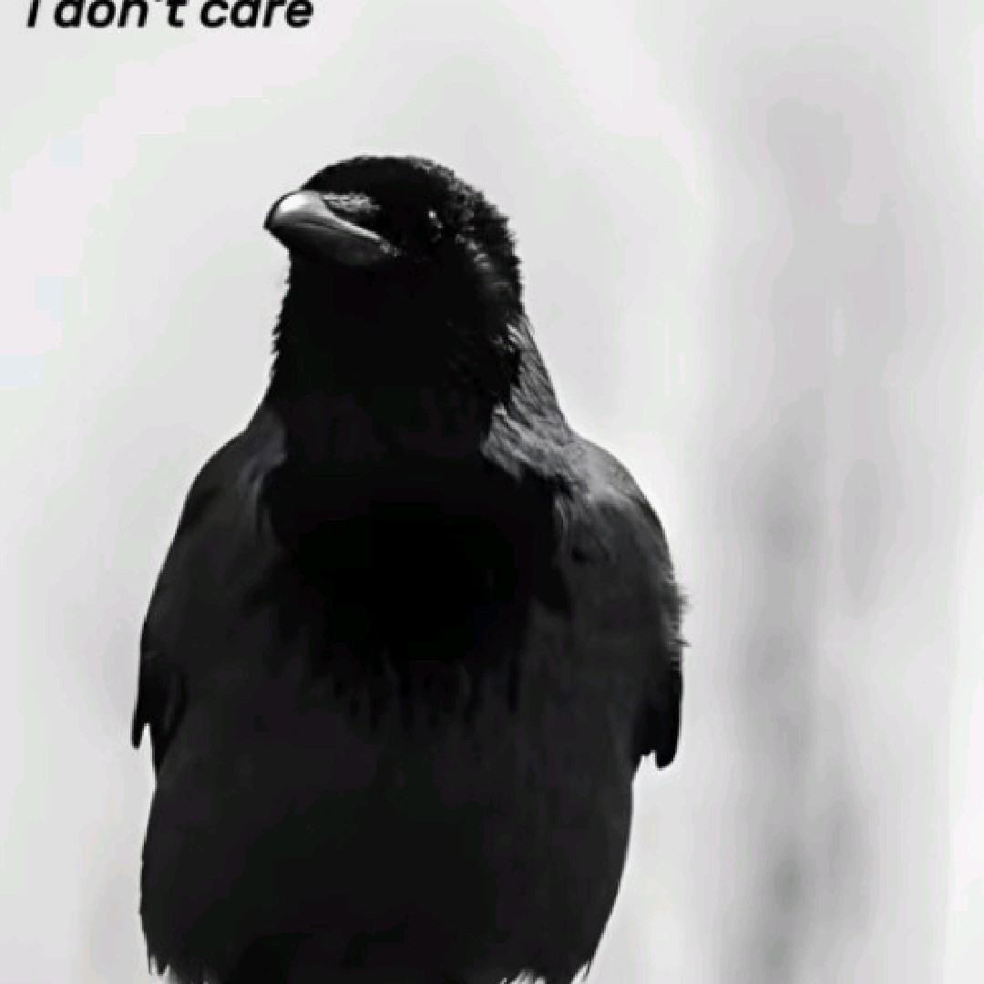 ℓσу
