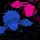 ⁺‧₊˚ ཐི⋆ 𝖇 ⋆ཋྀ ˚₊‧⁺ 