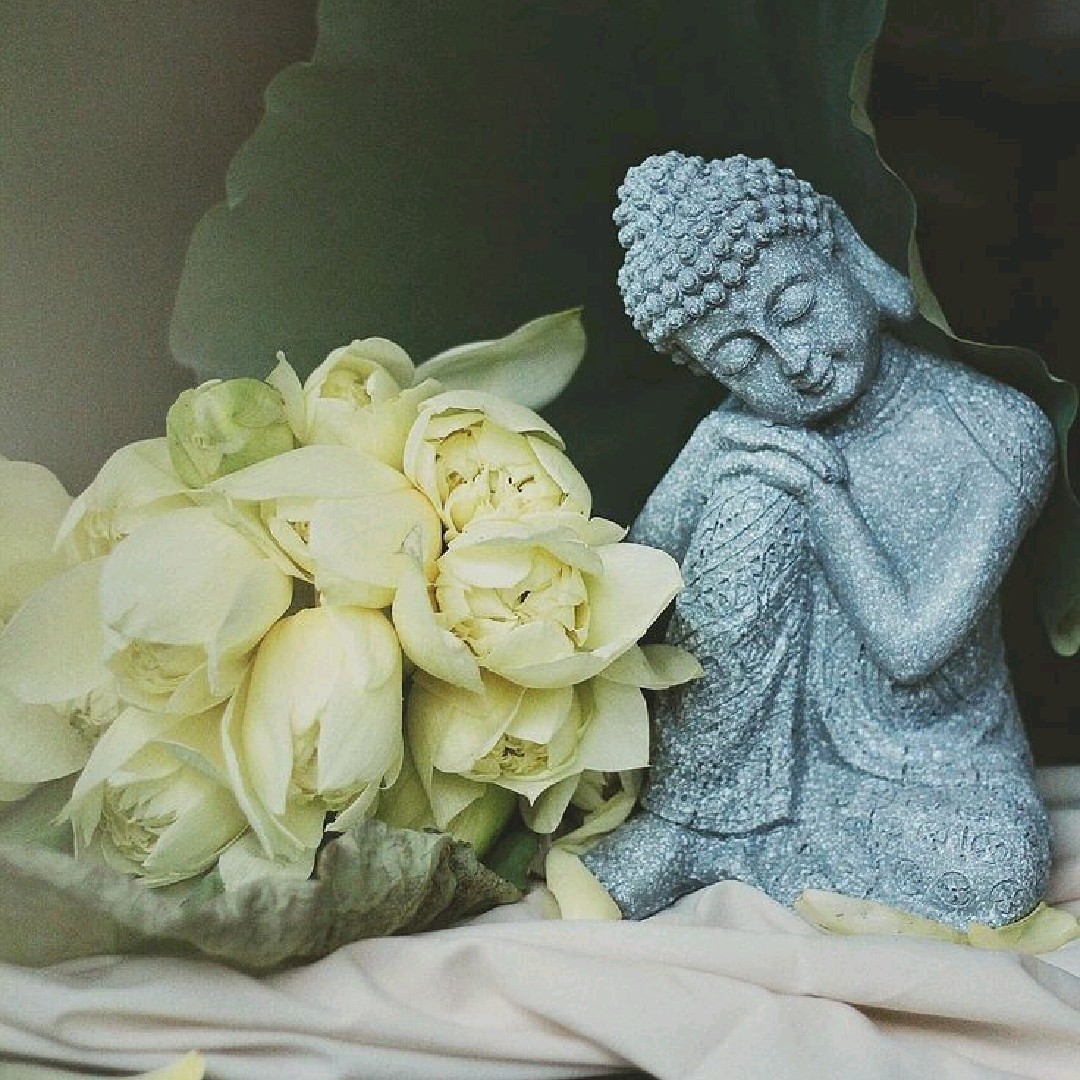 Vũ [ LC ] 🌸