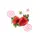 [LE] strawberry 