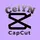 CelYN[TOP]