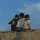 aldy (A11)