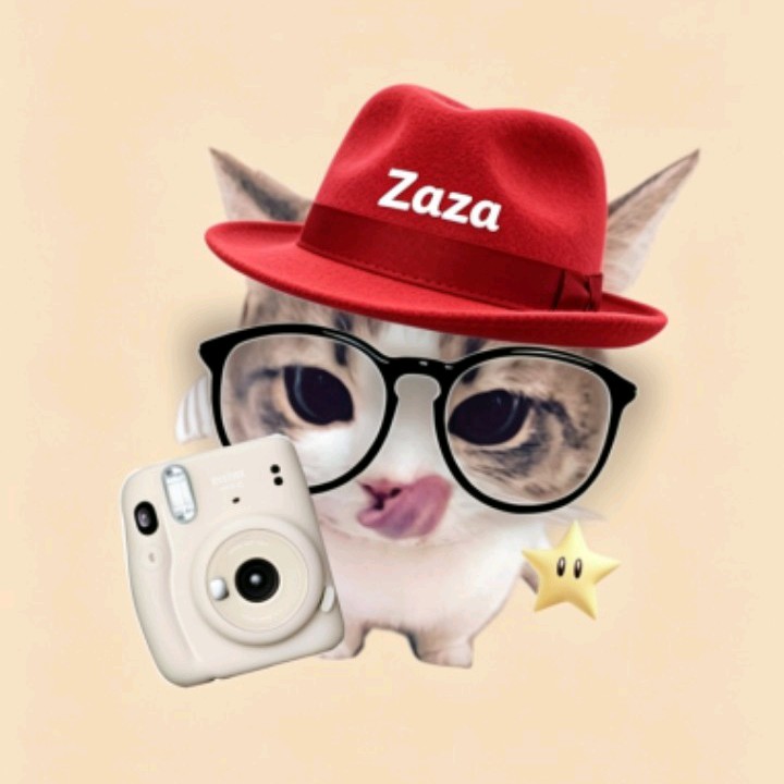 zaza
