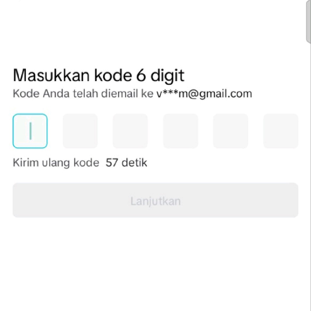 capcut help my email