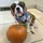 BaileyTheCavalier 