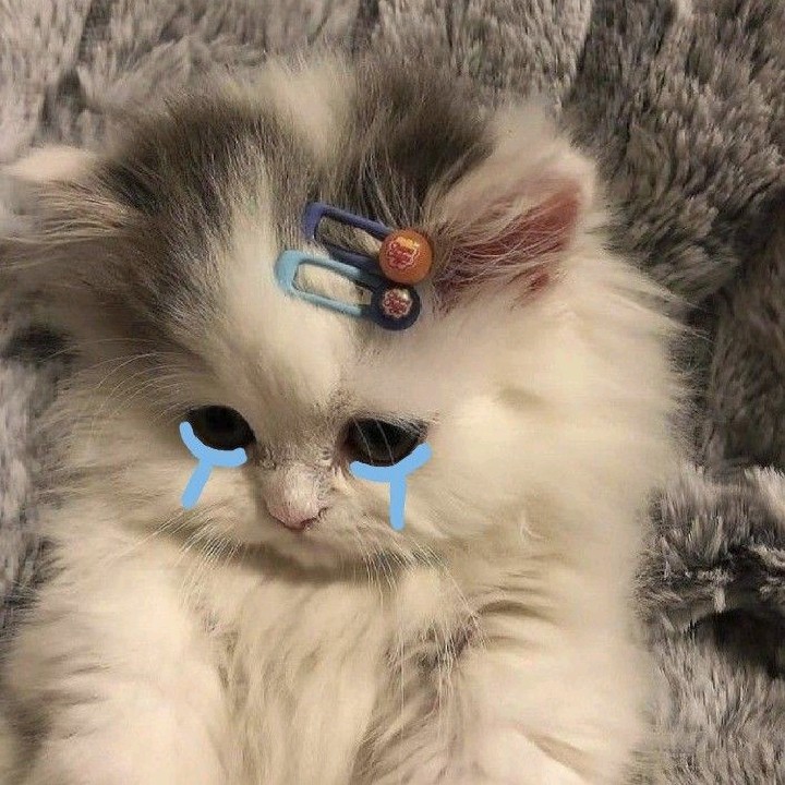 Caitlyn [RV]