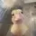 ⋅˚₊‧ didii 🦆 ‧₊˚ ⋅