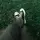 nandafdh_