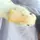 🇦🇺🪶🦆Acacia🦆🪶🇦🇺