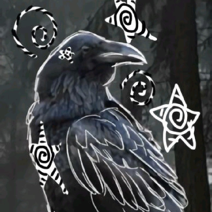 🍄✮Kaczek🦆||5K!!಄