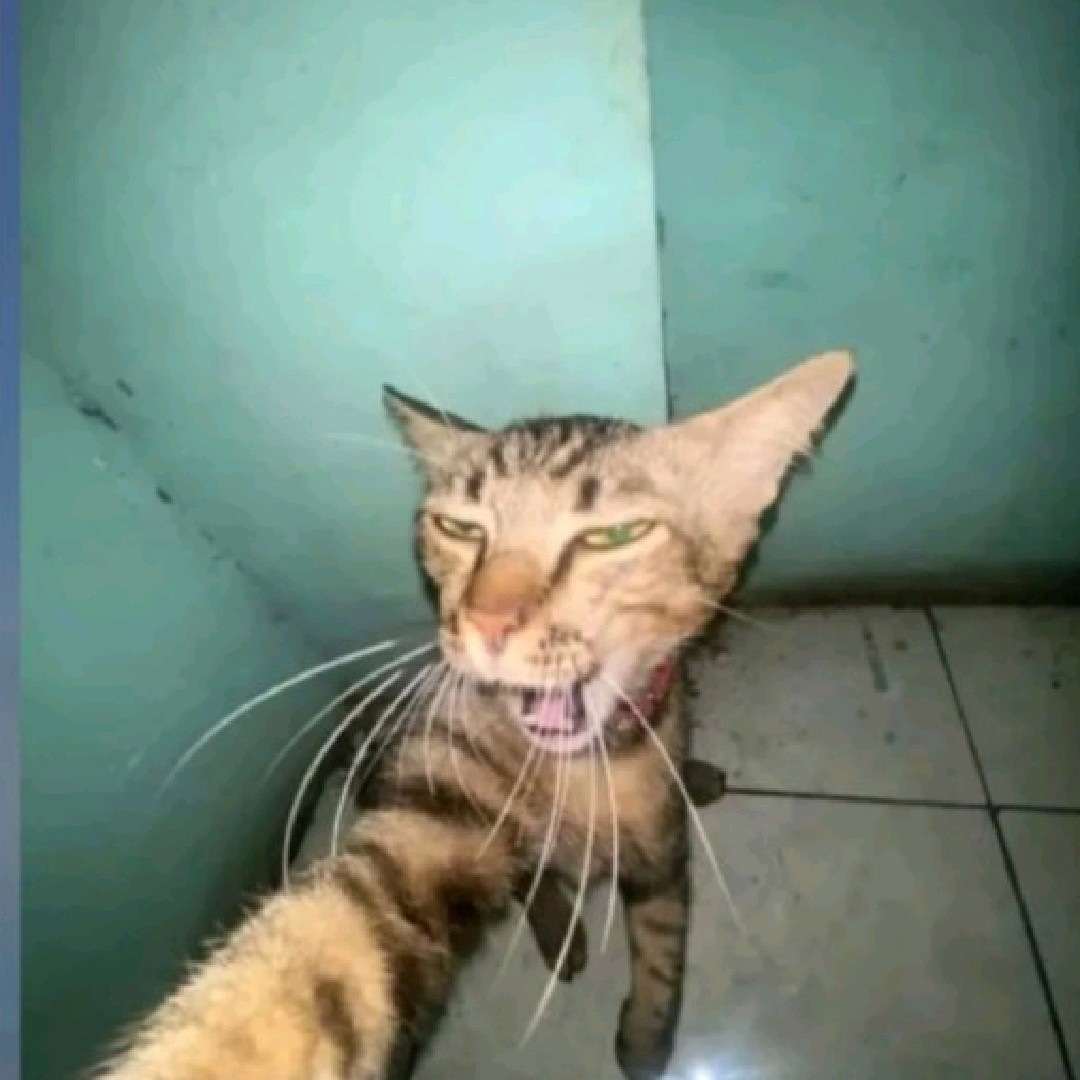 PanjiPratama