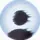 Agent_pingo