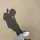 Dedd